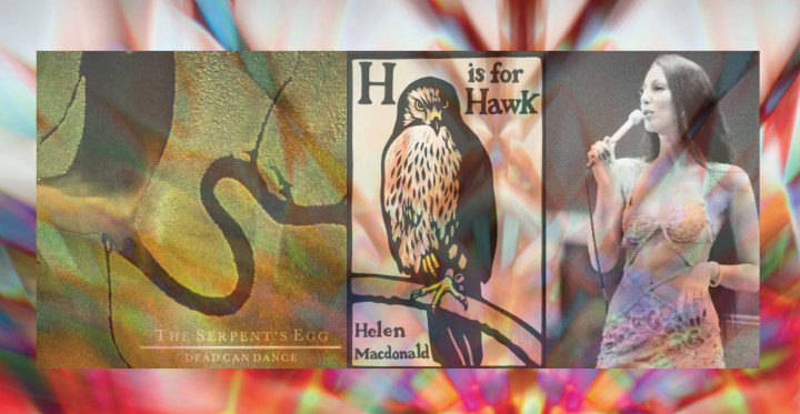 Serpent, Hawk & Cher