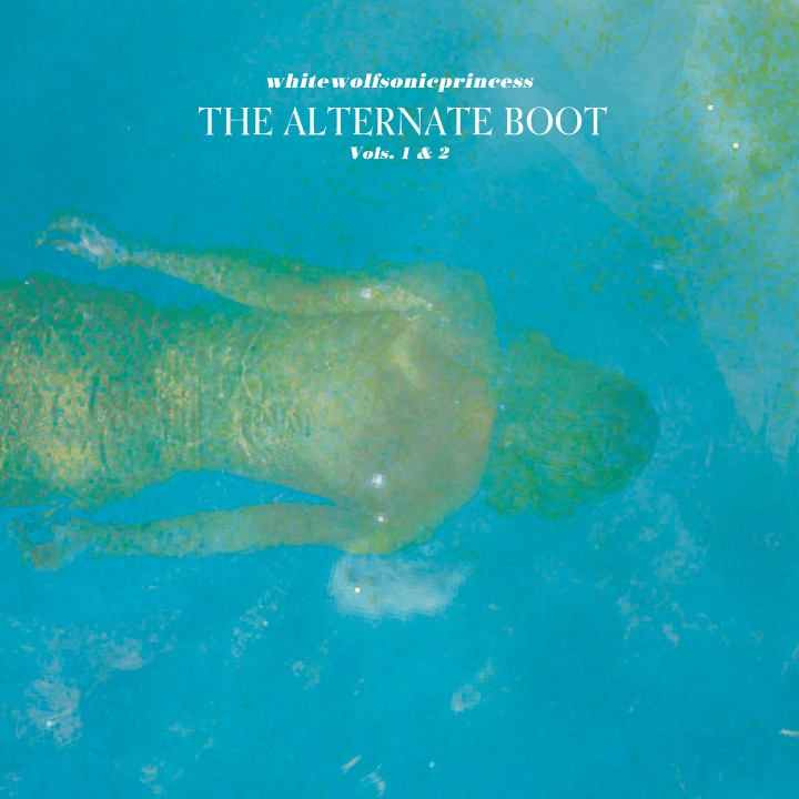 2_AltBootCoverWEBsite_JAN082019